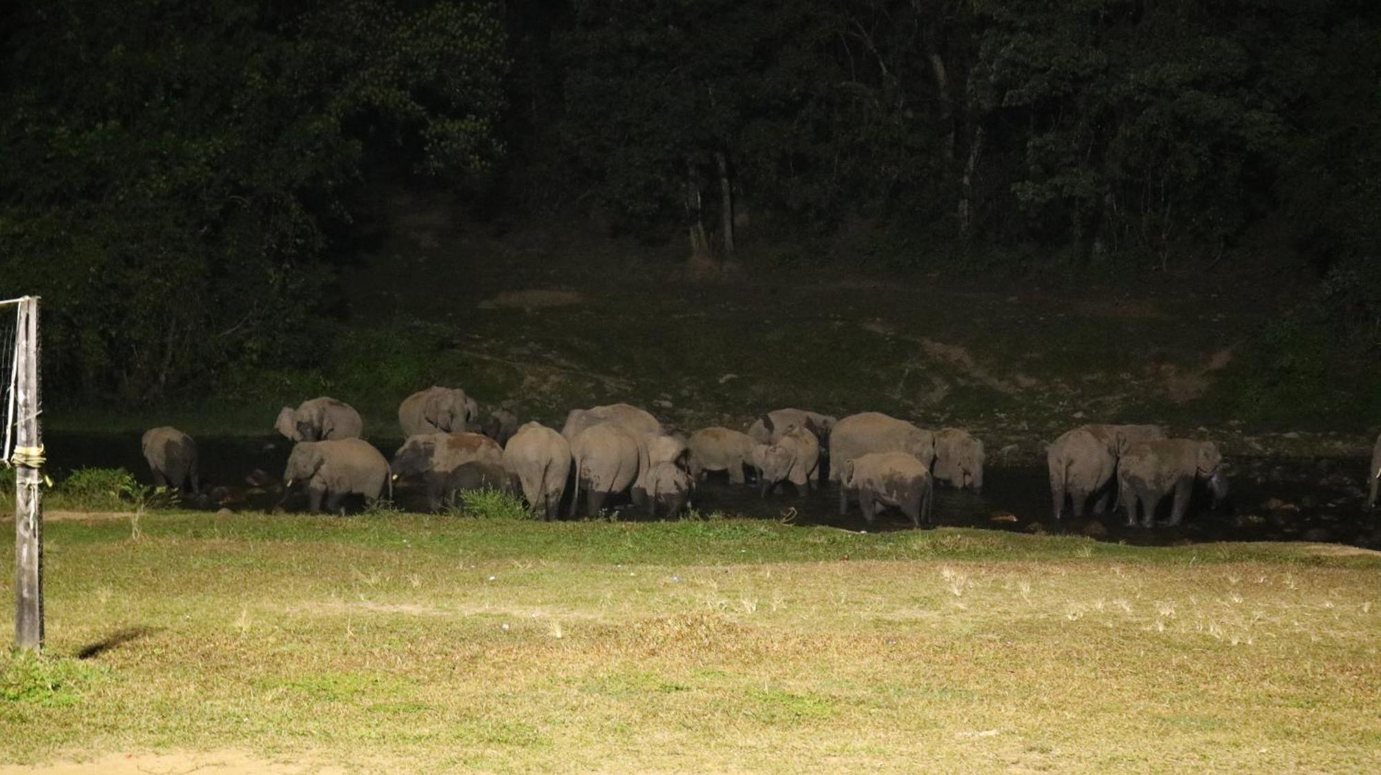 Asprin Homestay Munnar Esterno foto