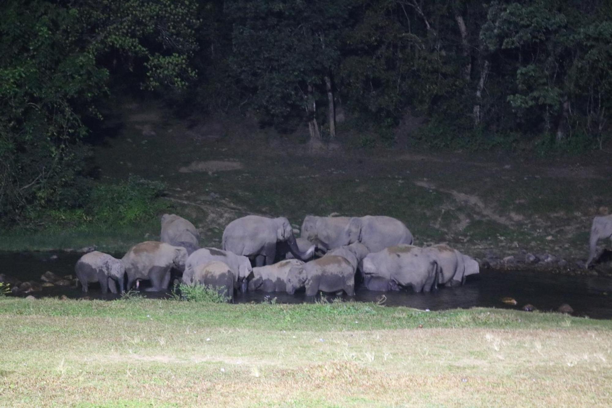 Asprin Homestay Munnar Esterno foto